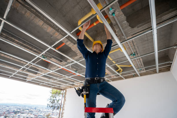 Best Local Plumber Services  in Bellwood, PA